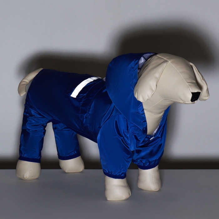Комбинезон для собак, демисезонный с подкладом, размер S (ДС 25, Ог 37см), синий Комбинезон для собак, демисезонный с подкладом, размер S (ДС 25, Ог 37см), синий