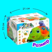 Каталка музыкальная &laquo;Черепашки&raquo;, световые, звуковые эффекты, работает от батареек