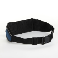 Поясная сумка на молнии, 3 отдела, цвет синий Поясная сумка на молнии, 3 отдела, цвет синий