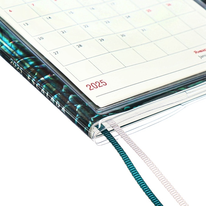 Еженедельник датир 2025г 180х127мм мягк обл ПВХ 64л ESCALADA ЗМЕЯ ЗЕЛЁНАЯ, кр бл 70 г/м&sup2;