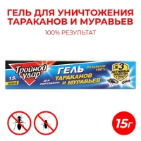 Средство от тараканов &laquo;Домовой Прошка&raquo;, ТРОЙНОЙ УДАР, гель, шприц, 15 г