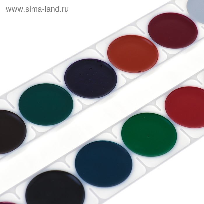 Акварель "Луч" ZOO, 14 цветов, без кисти