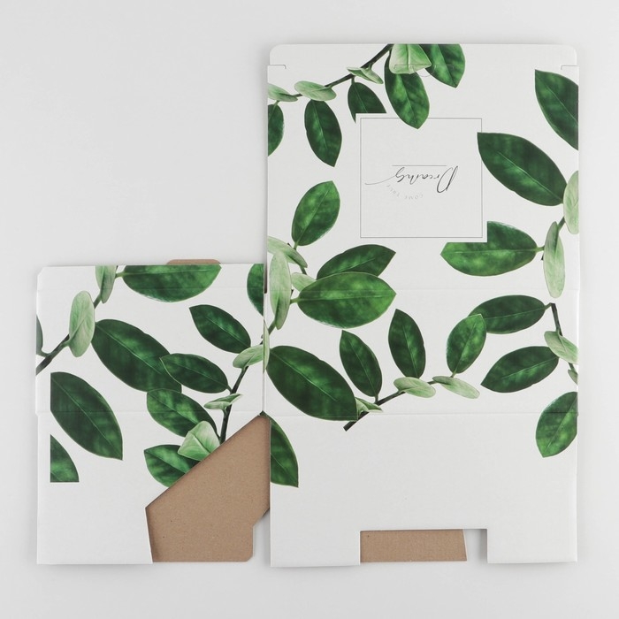 Коробка‒пенал, упаковка подарочная, &laquo;Dreams&raquo;, 26 х 19 х 10 см