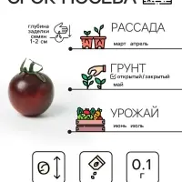 Семена Томат "Черный Мавр", 0,1 г
