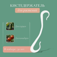 Кистедержатель «Крючок», 12 см, набор 30 шт., Greengo Кистедержатель «Крючок», 12 см, набор 30 шт., Greengo