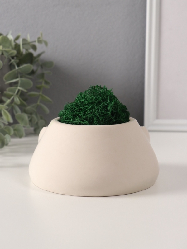 Кашпо бетонное "Злобный смех" со мхом 15,5*12,5*6 см белый (мох зеленый стабилизирован)