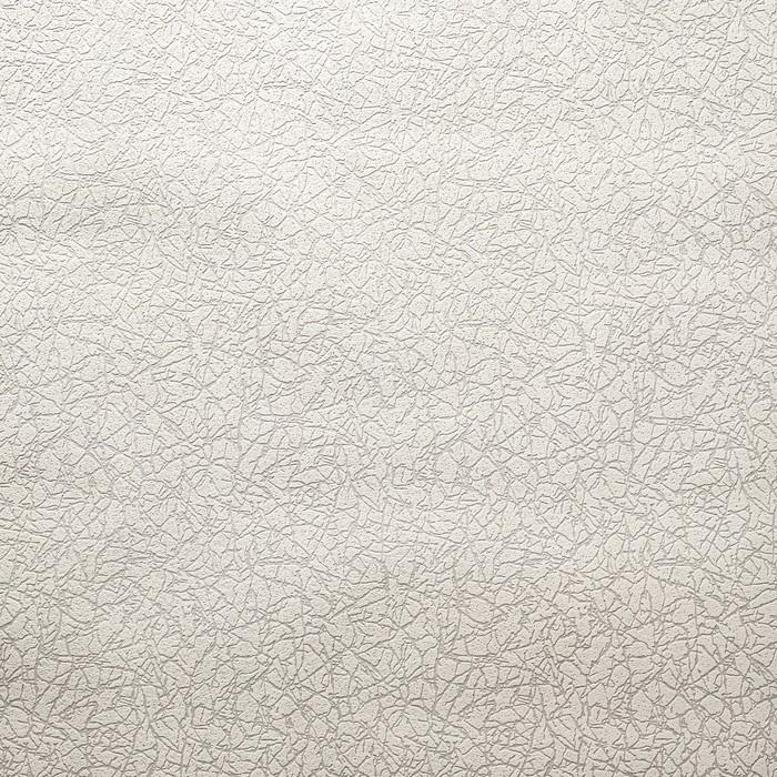 Обои виниловые на флизелиновой основе под покраску Обои виниловые на флизелиновой основе под покраску "Гомельобои" Графика, 1,06х25м
