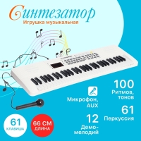 Синтезатор детский &laquo;Клавишник&raquo;, звуковые эффекты, 61 клавиша