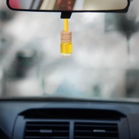 Ароматизатор в автомобиль на 23 Февраля (2 шт) &laquo;Осторожно! Крутой мужик!&raquo;, аромат: цитрус, новая машина