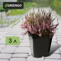 Горшок для рассады, 3 л, d=16 см, h=16 см, чёрный, Greengo