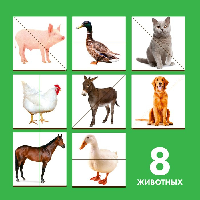 Картинки-половинки &laquo;Домашние животные&raquo;
