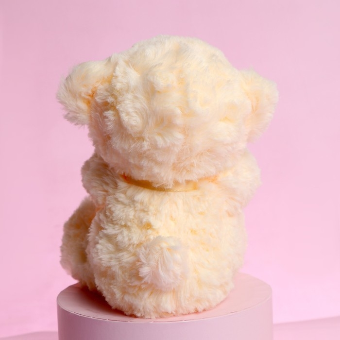 Мягкая игрушка &laquo;Ты - мой мир!&raquo;, медведь, цвета МИКС