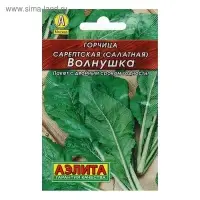 Семена Горчица салатная &laquo;Волнушка&raquo;, 0.5 г, &laquo;Аэлита&raquo;