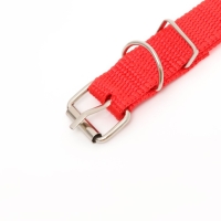 Ошейник для животных