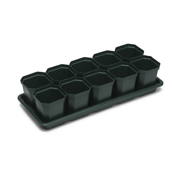 Набор для рассады: стаканы по 300 мл (10 шт.), поддон 41 &times; 17 см, цвет МИКС