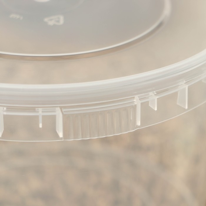 Ведро пластиковое одноразовое с крышкой «Для солений», 2 л, d=17,3 см, прозрачное, 100 шт/уп Ведро пластиковое одноразовое с крышкой «Для солений», 2 л, d=17,3 см, прозрачное, 100 шт/уп