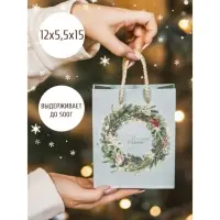 Пакет подарочный новогодний ламинированный &laquo;Новогодний венок&raquo;, S 11.5 х 14.5 х 5.5 см