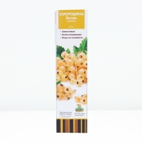 Смородина белая &laquo;Булонь белая&raquo;, традиционные сорта, саженец, туба, 1 шт.