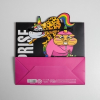 Пакет подарочный, упаковка, «Surpprise», 25 х 26 х 10 см Пакет подарочный, упаковка, «Surpprise», 25 х 26 х 10 см