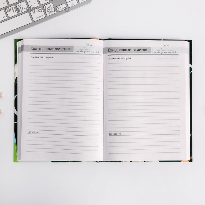 Ежедневник учителя &laquo;Лучшему Учителю&raquo;, формат А5, твёрдая обложка картон 7БЦ, 160 листов