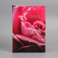 Папка для семейных документов «Docs», 8 файлов А4 Папка для семейных документов «Docs», 8 файлов А4