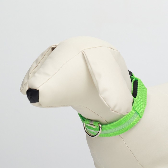 Ошейник с подсветкой размер S, ОШ 35-43 х 2,5 см, 3 режима свечения зелёный