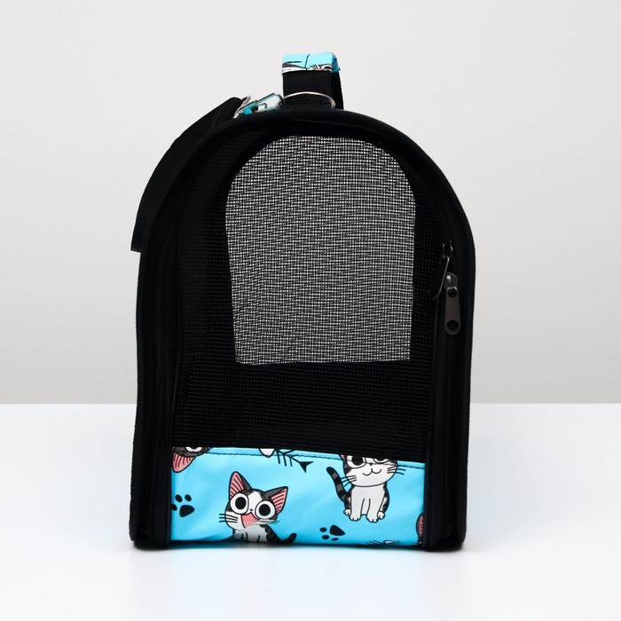 Сумка - переноска для животных Сумка - переноска для животных "Играющие котики", голубая, размер L, 53 х 21 х 29 см