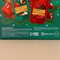 Новогодний подарочный набор косметики &laquo;Волшебные ароматы&raquo;, гель для душа и пена для ванны, 2 х 300 мл, аромат яблочный пунш и вишнёвый пирог, Новый Год