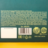 Подарочный набор &laquo;В носочках любой холод не страшен&raquo; : конфеты, носки