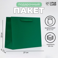 Пакет ламинированный горизонтальный &laquo;Изумрудный&raquo;, ML 27 &times; 23 &times; 11.5 см