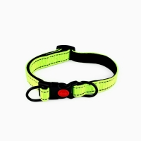 Ошейник с подкладом из нейлона с фастексом 2 см, ОШ 27-40 см, зелёный Ошейник с подкладом из нейлона с фастексом 2 см, ОШ 27-40 см, зелёный