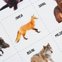 Набор обучающих плакатов &laquo;Изучаем мир&raquo;, 10 в 1, А4