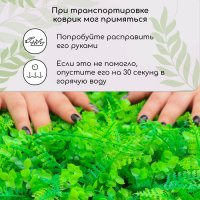 Декоративная панель, 60 × 40 см, «Самшит, Папоротник», Greengo Декоративная панель, 60 × 40 см, «Самшит, Папоротник», Greengo