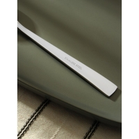 Ложка столовая из нержавеющей стали &laquo;Хоккайдо&raquo;, длина 20,5 см, цвет серебряный