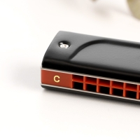 Губная гармошка Music Life T22K тремоло, с футляром Губная гармошка Music Life T22K тремоло, с футляром