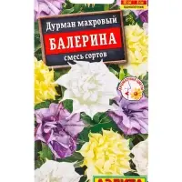 Семена цветов Дурман махровый Балерина, смесь сортов , Ц/П,3 шт.