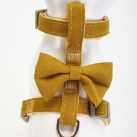 Комплект амуниции "Леди и Джентельмен", поводок 120 х 1,5 см, желтый