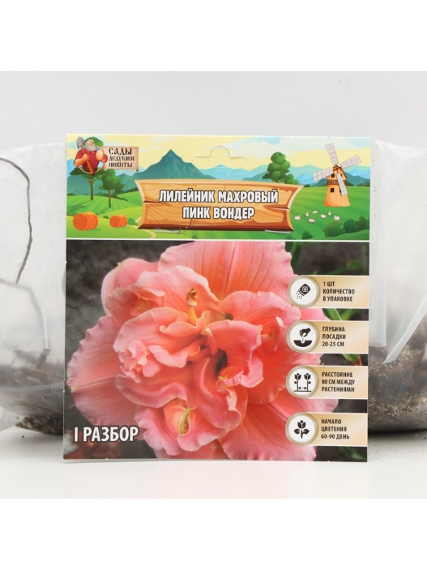 Лилейник Double Pink Wonder, многолетник, корневище в пакете с торфогрунтом, р-р I, 1 шт.
