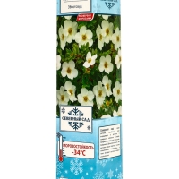 Лапчатка кустарниковая (Серия Северный сад) &laquo;Эбботсвуд&raquo; саженец, декоративный, цветущий, 1 шт., туба