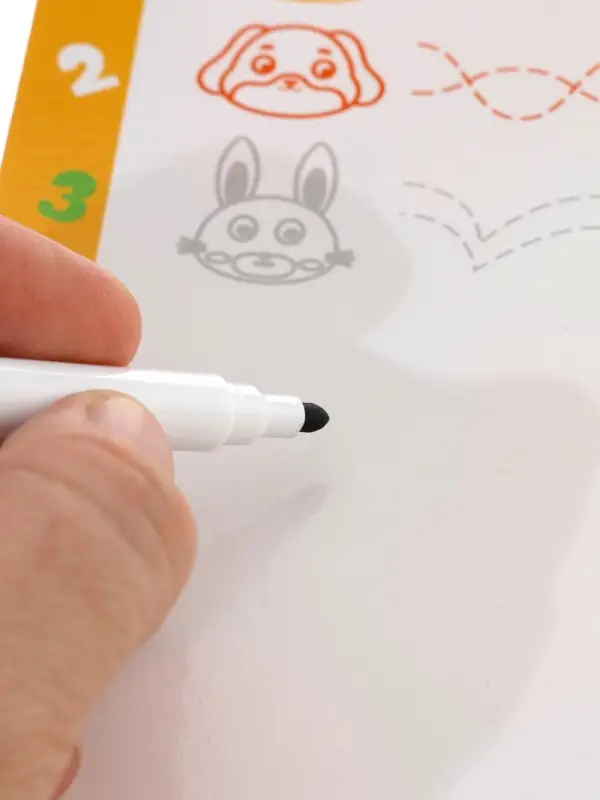 Деревянный сортер "Животные"