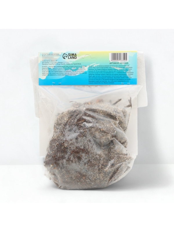 Астильба Арендса Cattleya многолетник, корневище в торфогрунте, р-р II, 2 шт.