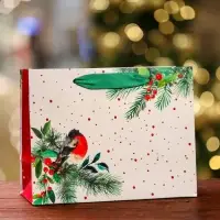 Пакет подарочный "Снегирь на праздник ",  23 х 17,8 х 9,8 см