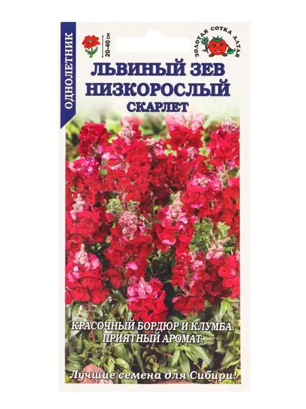 Семена Львиный зев Низкорослый скарлет /Сотка/ 0,1г/*1800