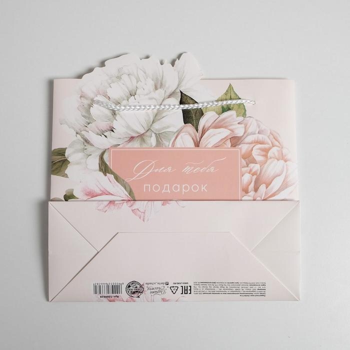 Пакет подарочный, упаковка, &laquo;Для тебя подарок&raquo;, 25 х 26 х 10 см