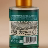 Гель для душа, 100 мл, аромат зимних пряностей, Новый Год Гель для душа, 100 мл, аромат зимних пряностей, Новый Год