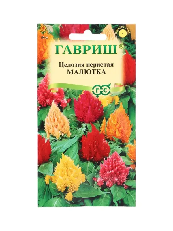 Семена цветов Целозия Малютка, перистая*, смесь 0,01 г