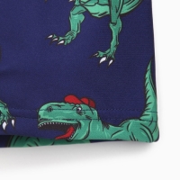 Купальник детский KAFTAN "Динозавр", рост 110-116 (32) Купальник детский KAFTAN "Динозавр", рост 110-116 (32)