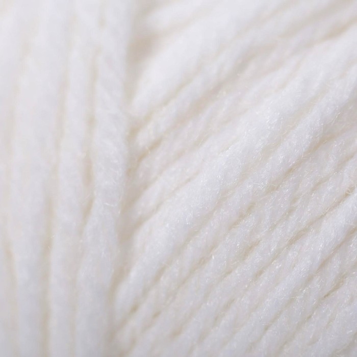 Пряжа для вязания спицами, крючком &laquo;Пехорский текстиль. Детский каприз&raquo;, 50% мериносовая шерсть, 50% фибра, 225 м/50 г, (01 белый)