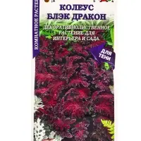 Семена Ком: Колеус Блэк Дракон /Сотка/ 10шт/ бордо. h-35см PanAm/*500