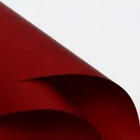 Пленка флористическая, &laquo;Любовь в воздухе&raquo; 65 мкм, винный 58&times;58 см